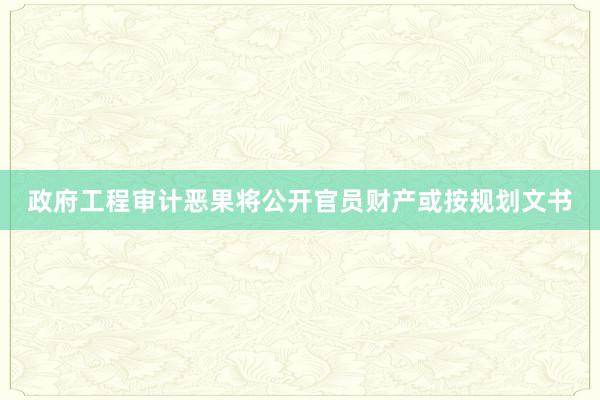 政府工程审计恶果将公开官员财产或按规划文书