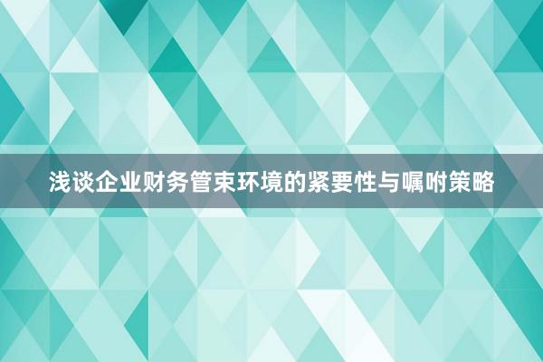 浅谈企业财务管束环境的紧要性与嘱咐策略