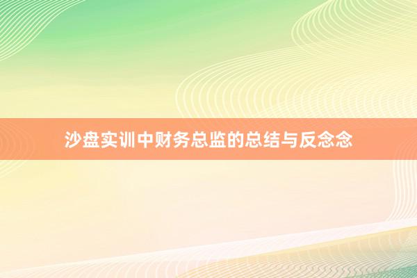 沙盘实训中财务总监的总结与反念念